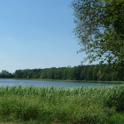 Jezioro Osieckie