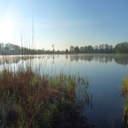 Jezioro Pluskowęsy