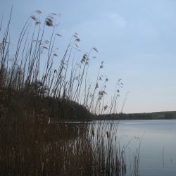 Jezioro Kijaszkowo