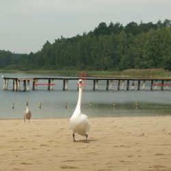 Plaża nad Jeziorem Kamionkowskim