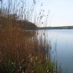 Jezioro Kijaszkowskie