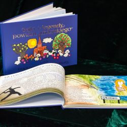 Książkę można kupić w Powiatowej i Miejskiej Bibliotece...