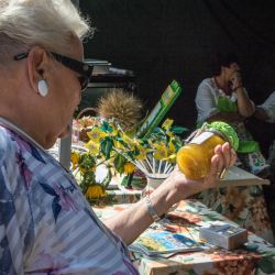 2019-08-25 Dożynki Wojewódzkie Ciechocinek (31)