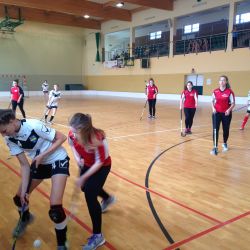 Mistrzostwa Powiatu Toruńskiego Unihokej Dziewcząt IMS 2019 (3)
