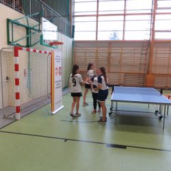 Mistrzostwa Powiatu - Drużynowy Tenis Stołowy Dziewcząt i Chłopców IMS (9)