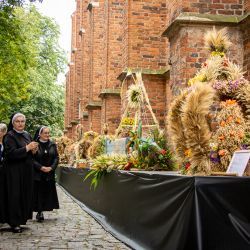 www_dożynkowe wieńce przed katedrą (16)