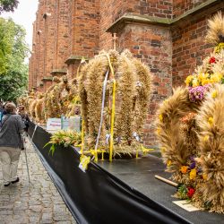 www_dożynkowe wieńce przed katedrą (5)