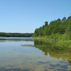 Jezioro Zacisze i okolice (4)