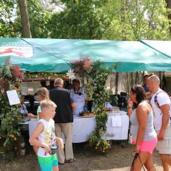 2023-06-24 Powiatowo-Gminny Festiwal Smaku i Zjazd KGW (85)