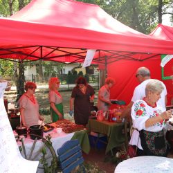 2023-06-24 Powiatowo-Gminny Festiwal Smaku i Zjazd KGW (94)
