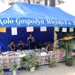 2023-06-24 Powiatowo-Gminny Festiwal Smaku i Zjazd KGW (124)