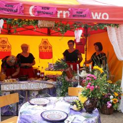 2023-06-24 Powiatowo-Gminny Festiwal Smaku i Zjazd KGW (132)