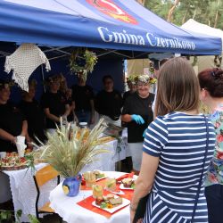 2023-06-24 Powiatowo-Gminny Festiwal Smaku i Zjazd KGW (159)