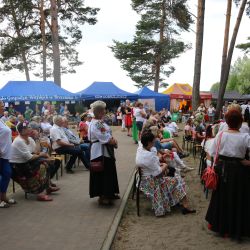 2023-06-24 Powiatowo-Gminny Festiwal Smaku i Zjazd KGW (211)