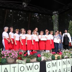 2023-06-24 Powiatowo-Gminny Festiwal Smaku i Zjazd KGW (243)