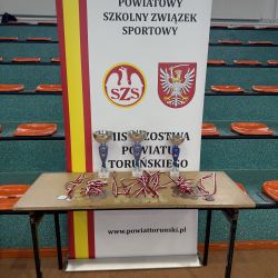 zdjęcie przedstawia baner Powiatowego Szkolnego Związku Sportowego, na jego tle widzimy puchary i medale