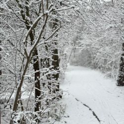 2025 Sciezka edukacyjna fot. UG Chełmża (1)