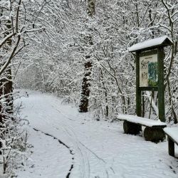 2025 Sciezka edukacyjna fot. UG Chełmża (4)