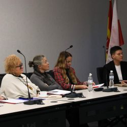 Drugie posiedzenie Rady Seniorów 20.11.2025 r. (13)