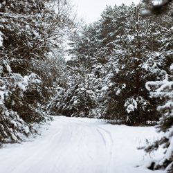 2021-01-14 Józefowo (84)