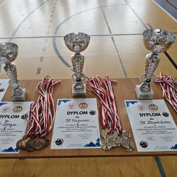 zdjęcie przedstawia puchary, dyplomy i medale