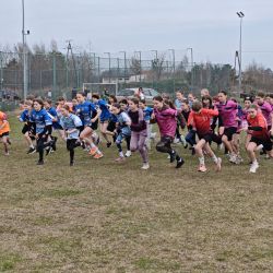 na zdjęciu zawodniczki Drużynowych Mistrzostw Powiatu Toruńskiego w biegach przełajowych