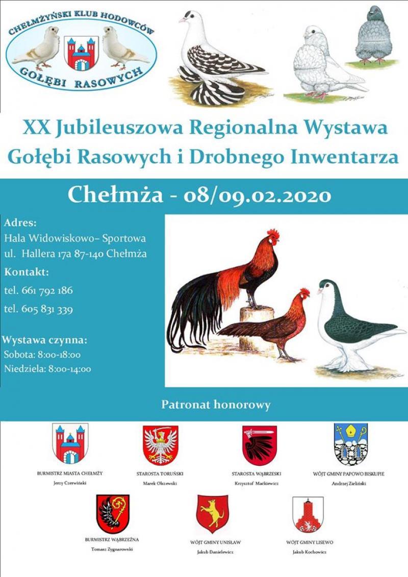 Jubileuszowa wystawa gołębi rasowych w Chełmży