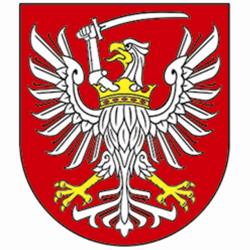Materiały z Forum NGO