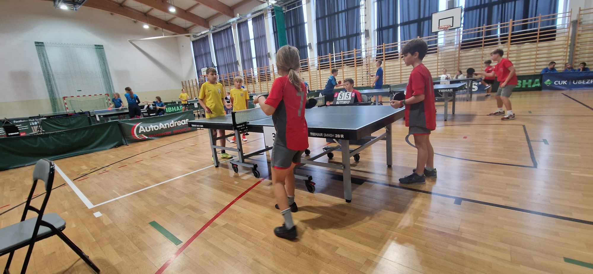 Mistrzostwa Powiatu Toruńskiego w drużynowym tenisie stołowym dziewcząt i chłopców